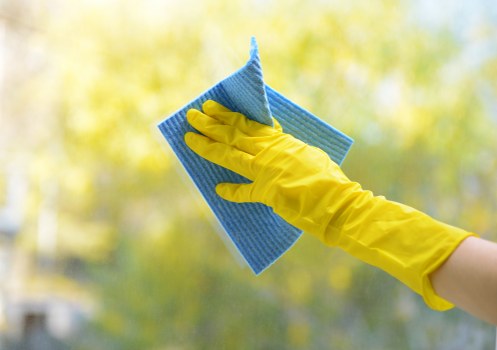Regular domestic cleaning service in a Barnet apartment