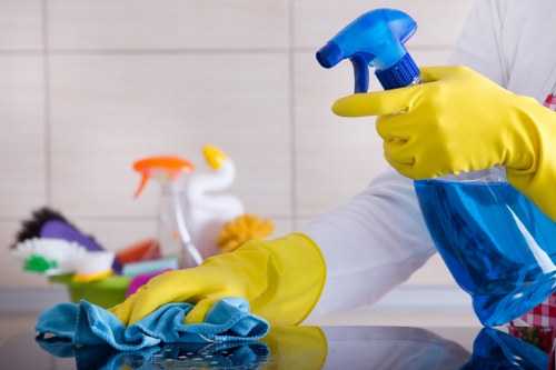 Domestic cleaning service for a flat in Barnet