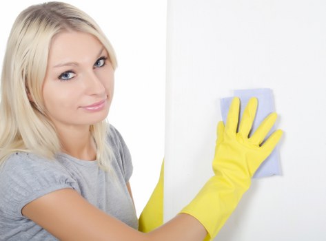 Floor and upholstery cleaning options