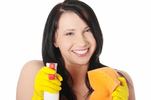 Upholstery cleaning equipment used in a Barnet property