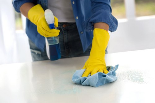 Deep cleaning visit for a Barnet property with detailed attention