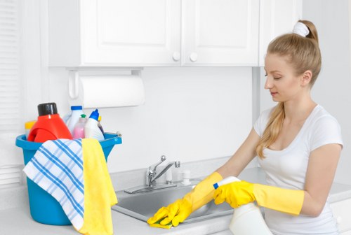 Detail cleaning of surfaces and dust removal in a Barnet property