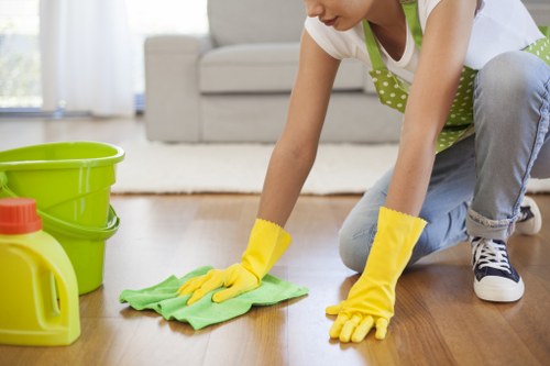 Sofa cleaning equipment set up for a Barnet home visit
