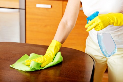 Barnet oven cleaning for residential and commercial kitchens