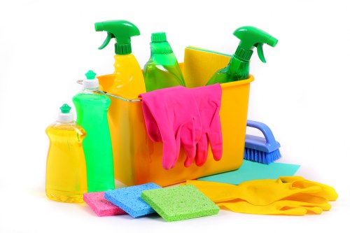 Cleaner carrying out an insured deep clean in Barnet with care and precision